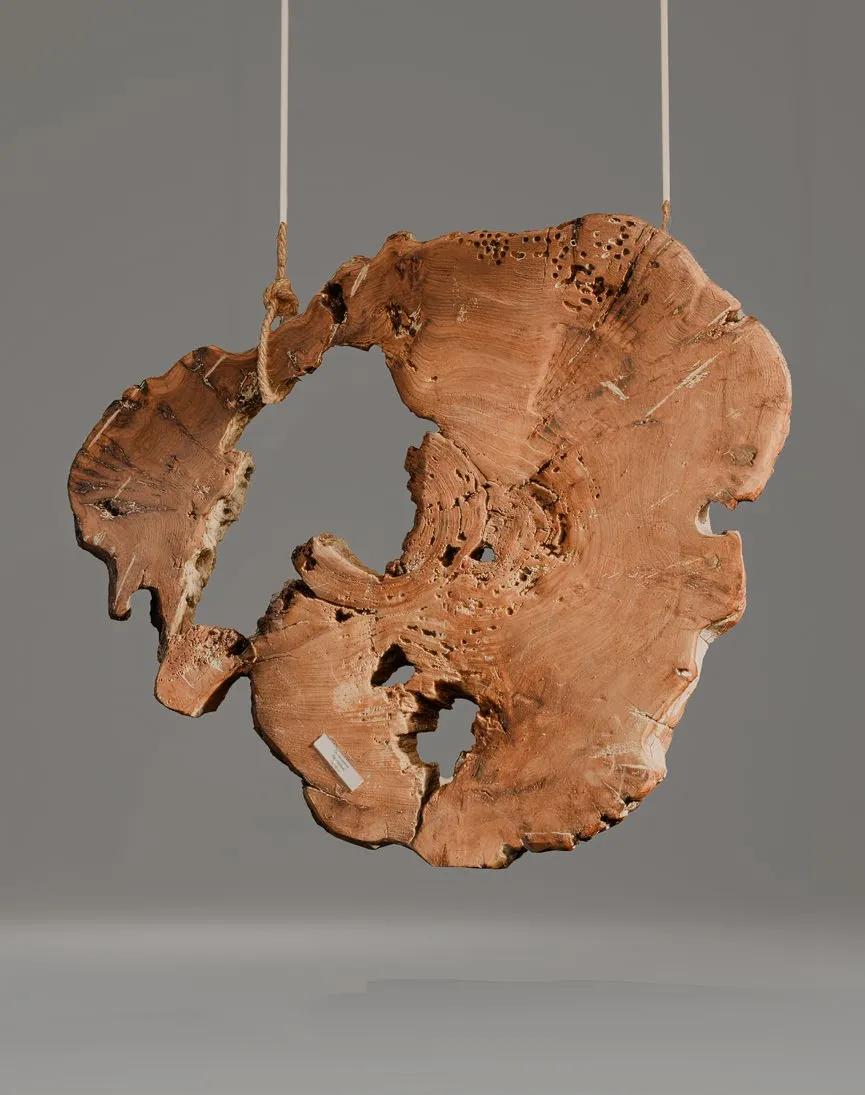 Спилы дерева (панно)