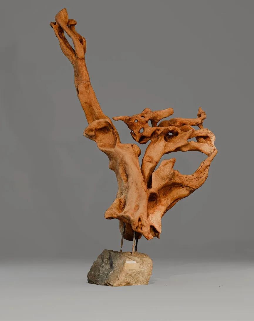 Июньская фантазия