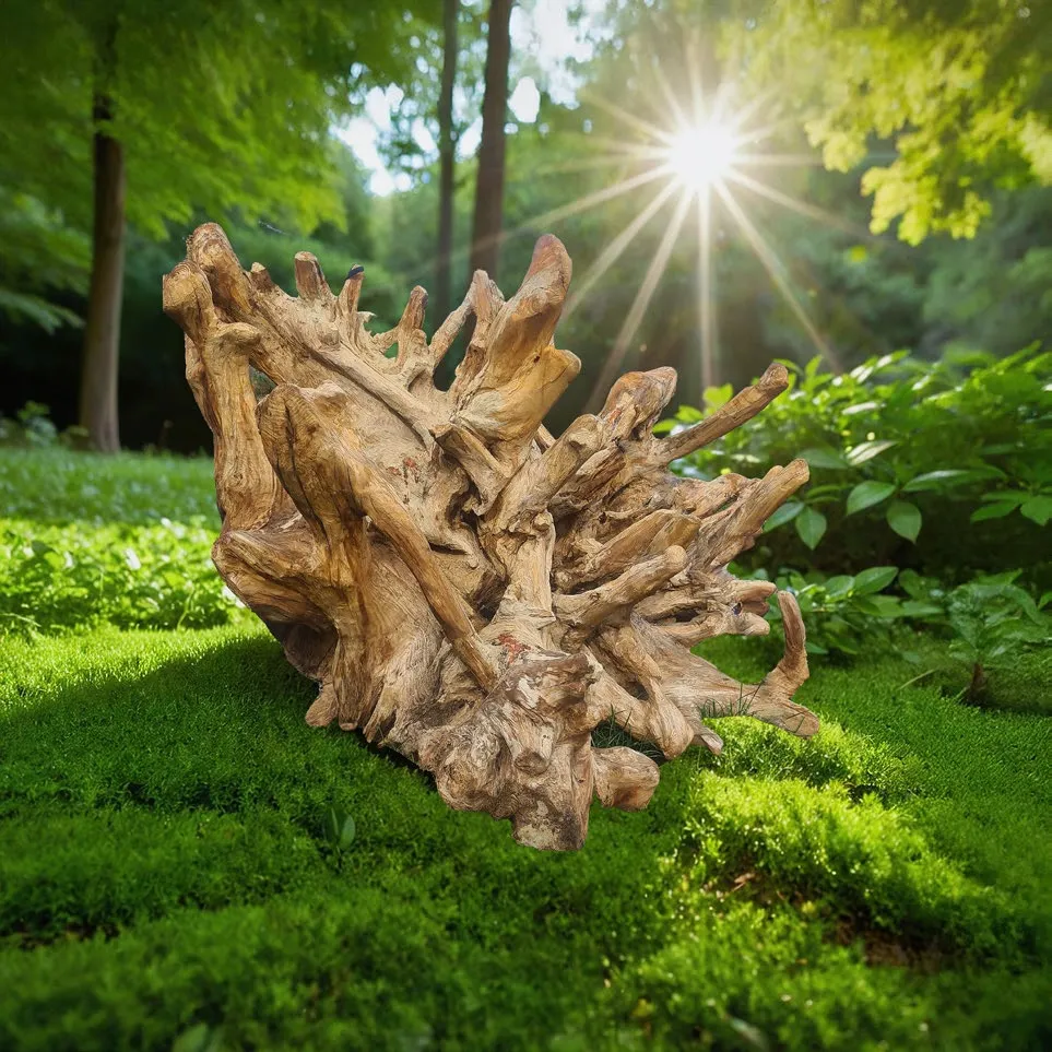 Song of the Tree - View 1