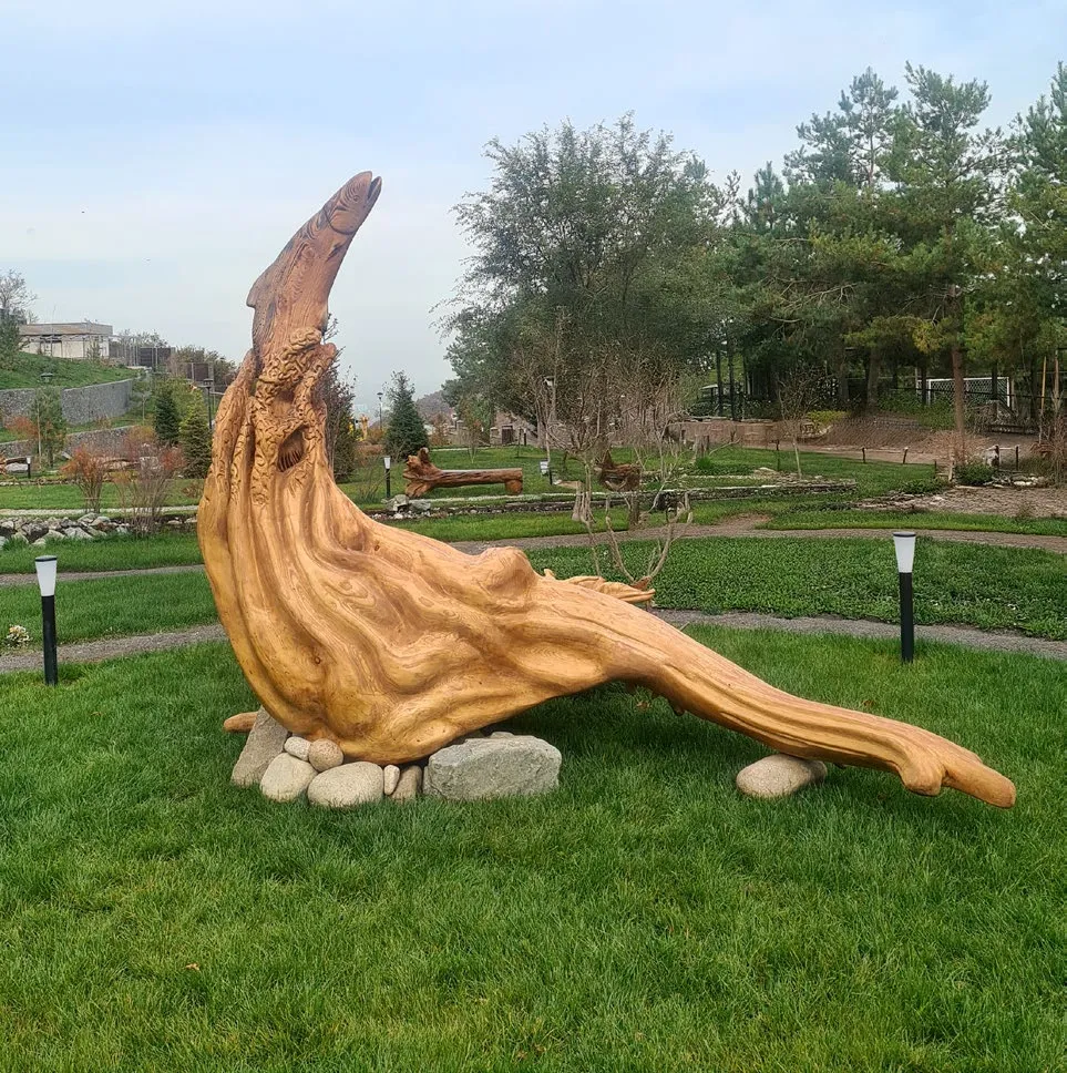 Судың тынысы - View 1