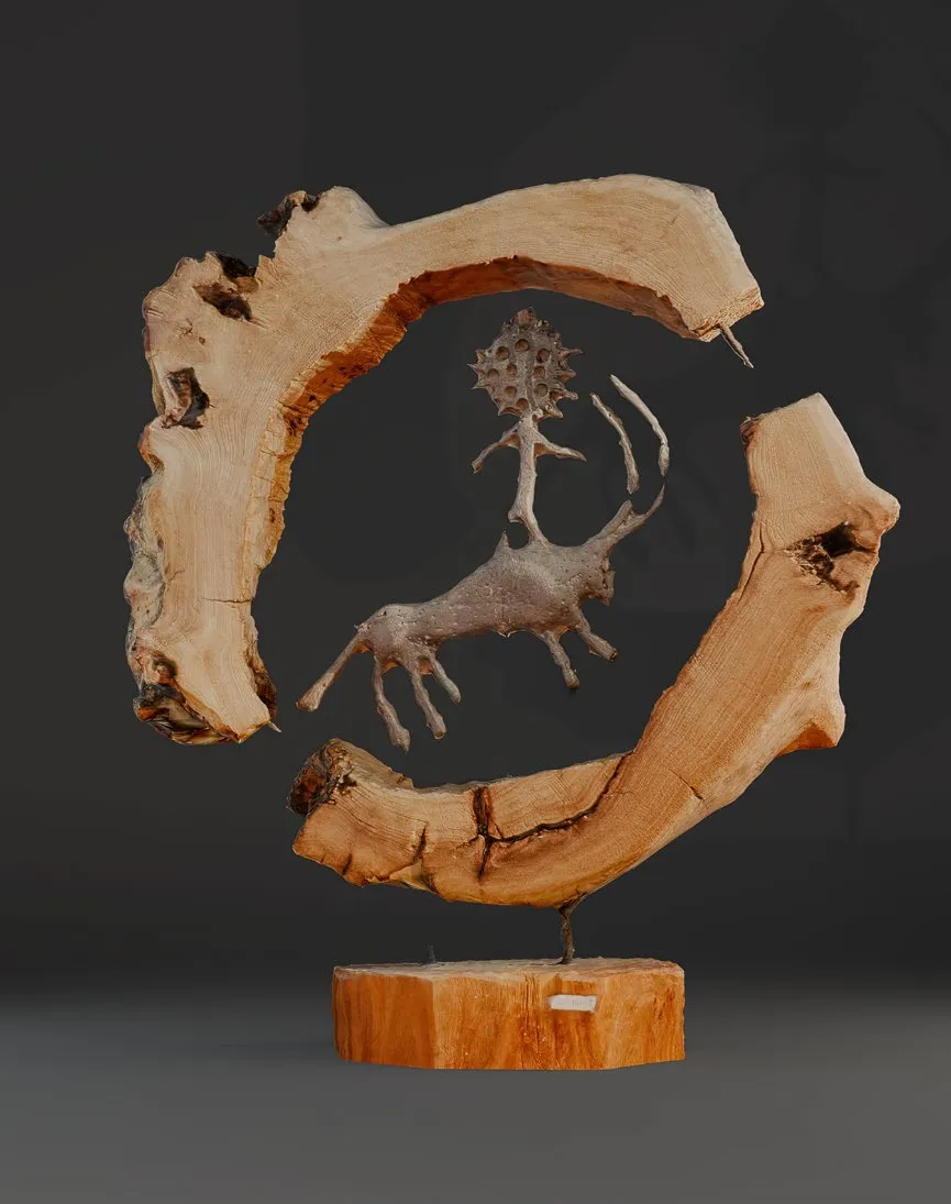 Жұлдызды шабандоз - View 1